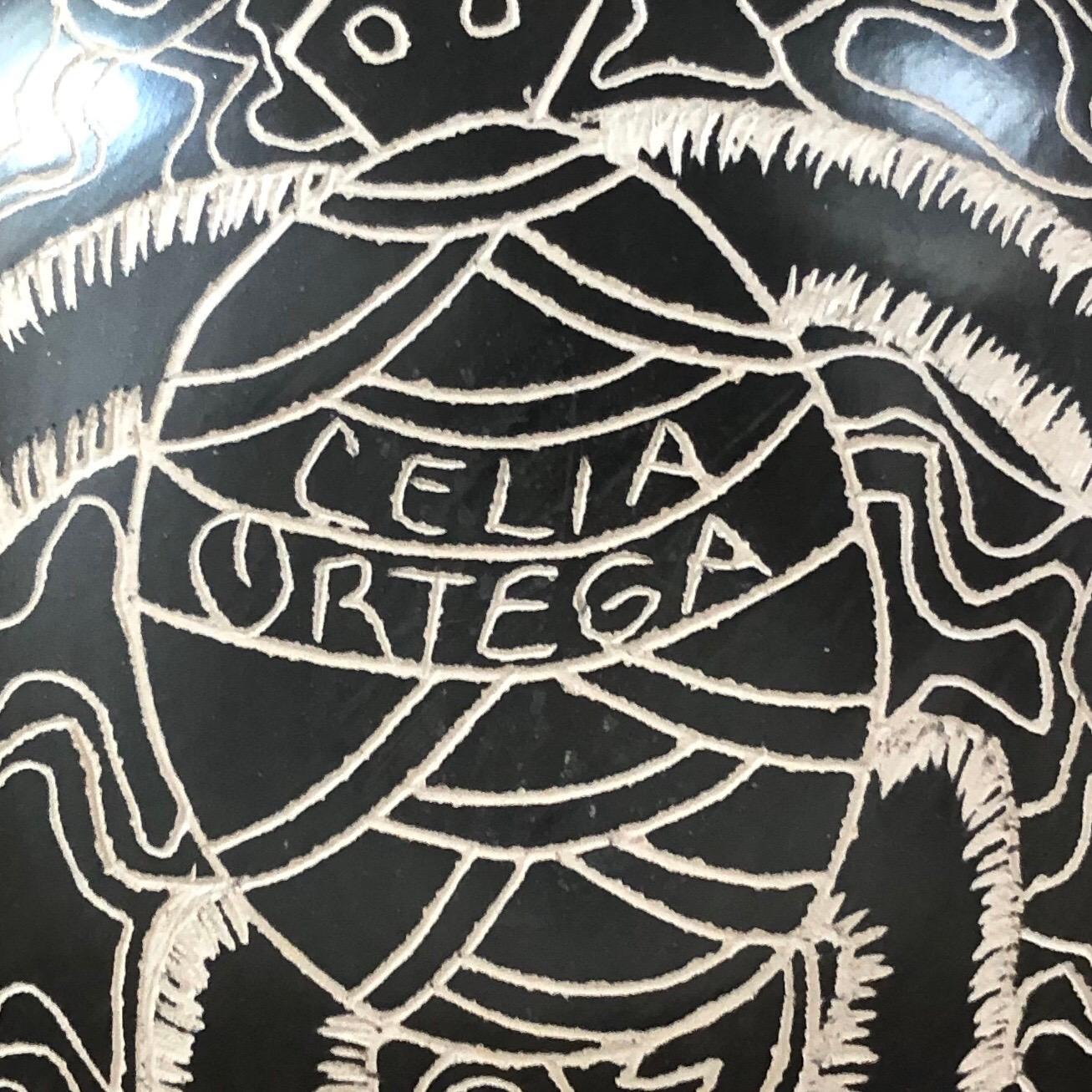 20th Century Mata Ortiz Pottery Turtle Vase by Celia Ortega