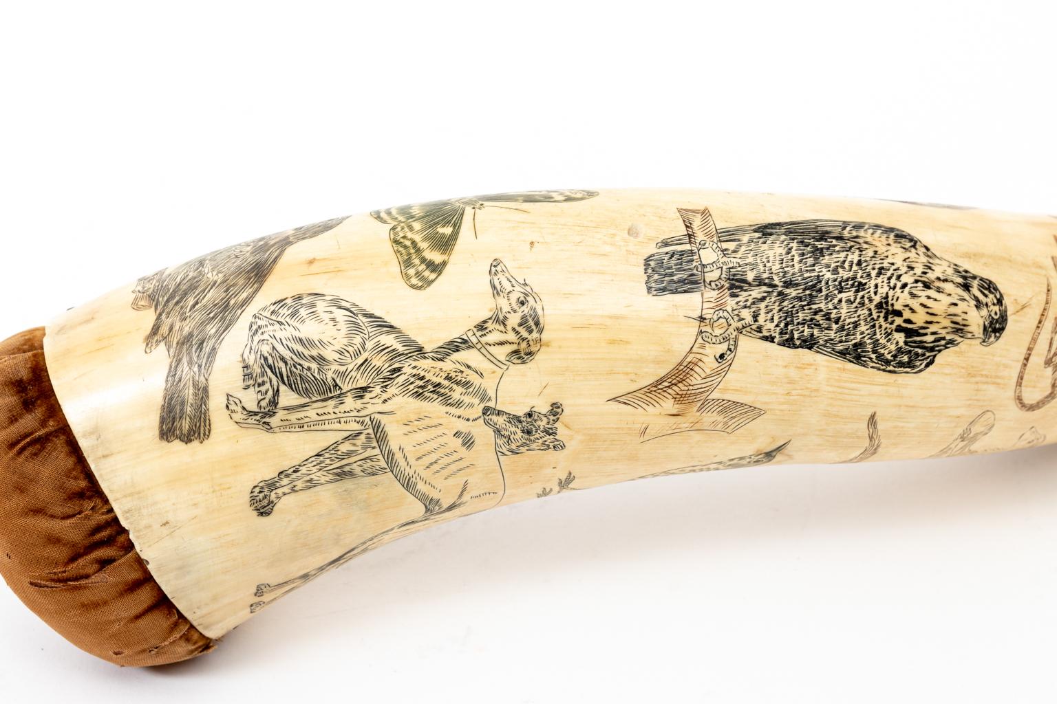 American Matched 19th Century Cow Horn Scrimshaw