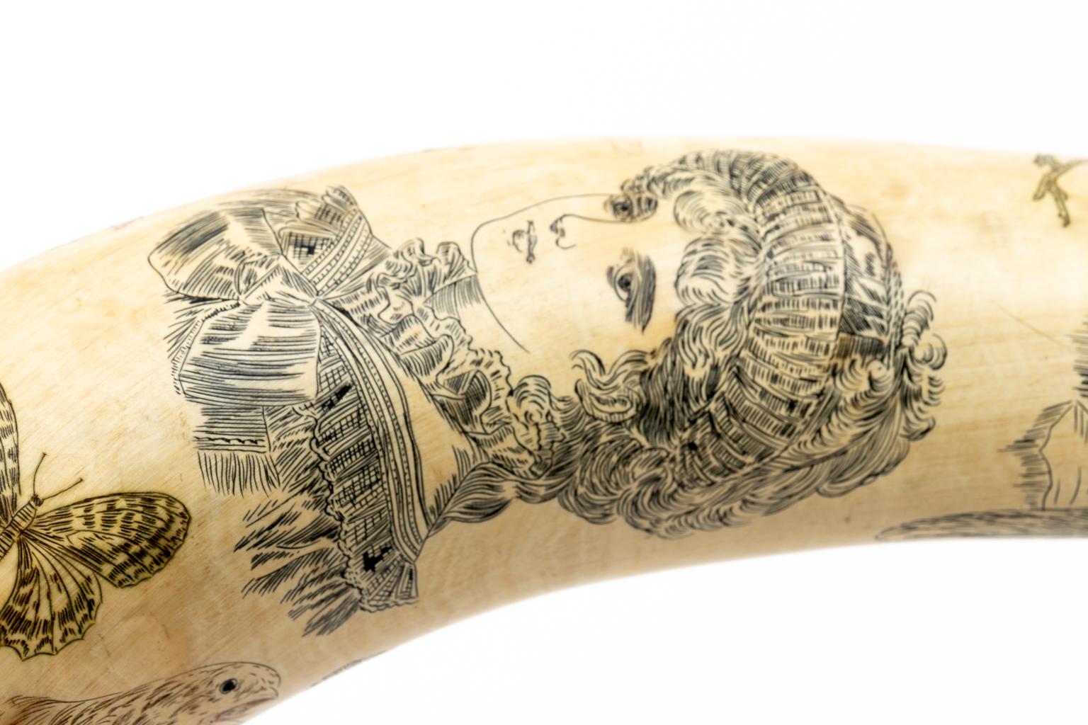 Matched 19th Century Cow Horn Scrimshaw 2