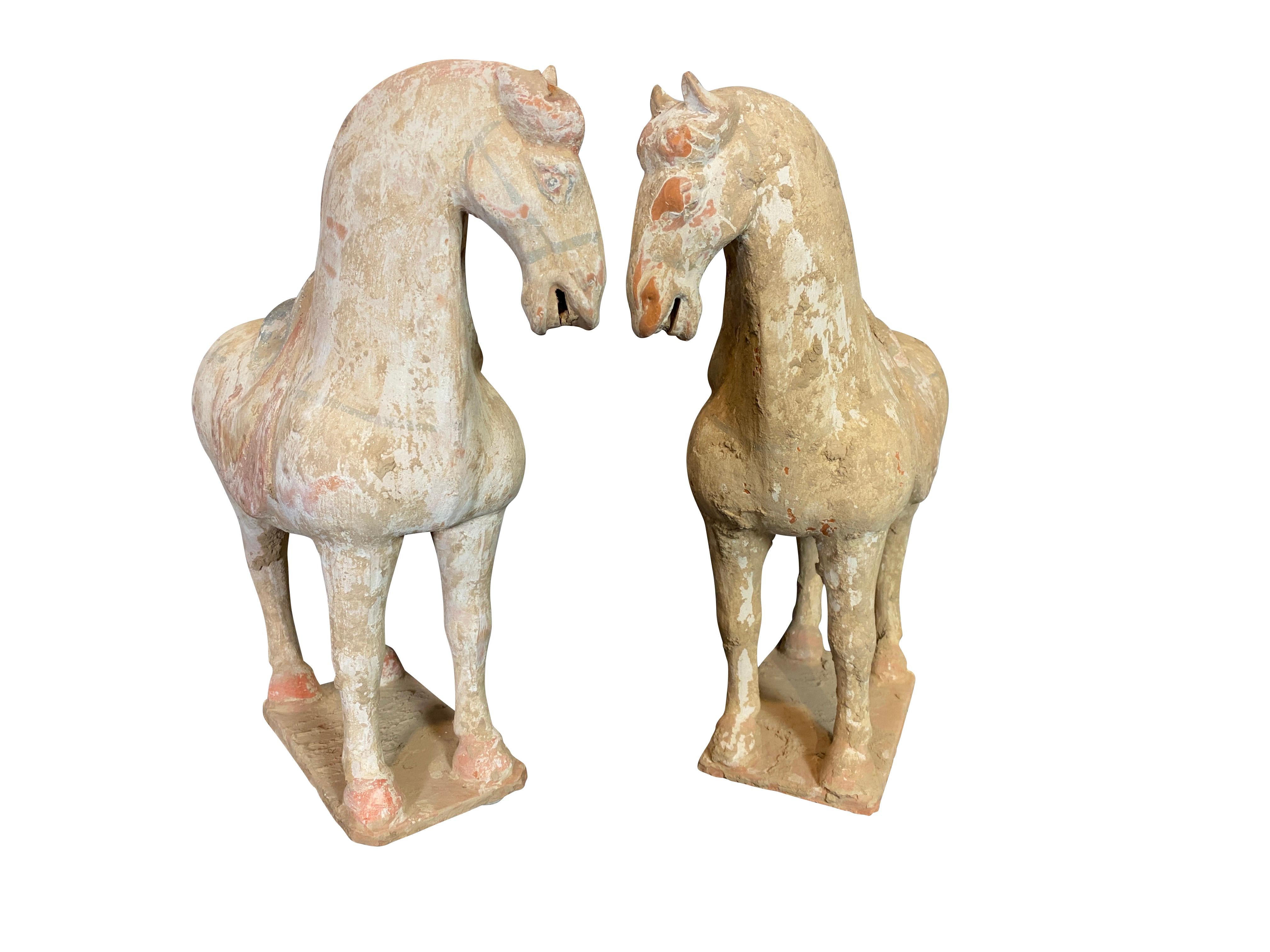 Matched Pair of Tang Style Pottery Horses In Good Condition In Essex, MA