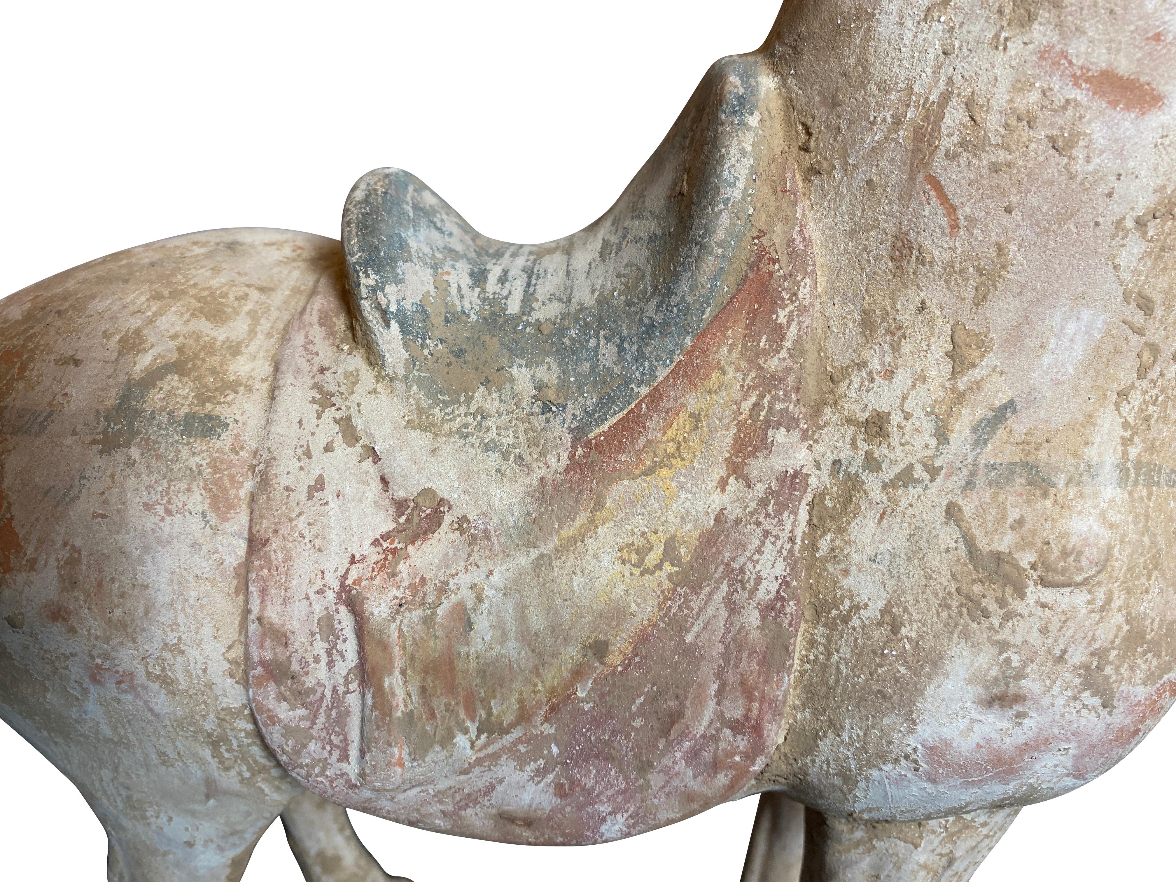 Matched Pair of Tang Style Pottery Horses 3
