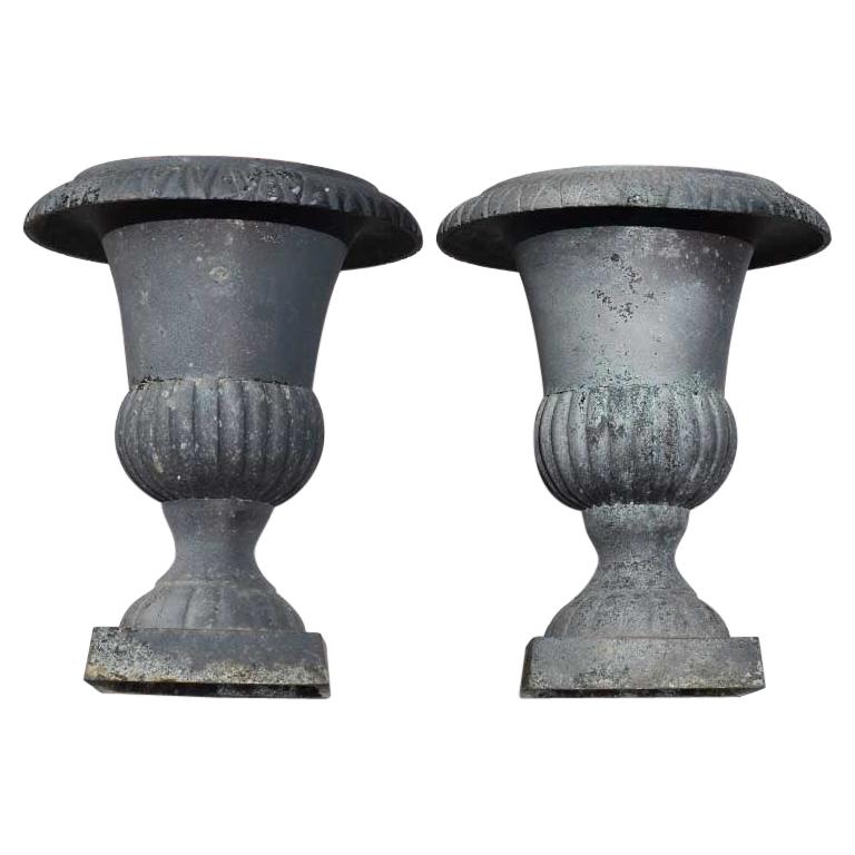 Matching Set Cast Iron Urn Planters in Gray, a Pair