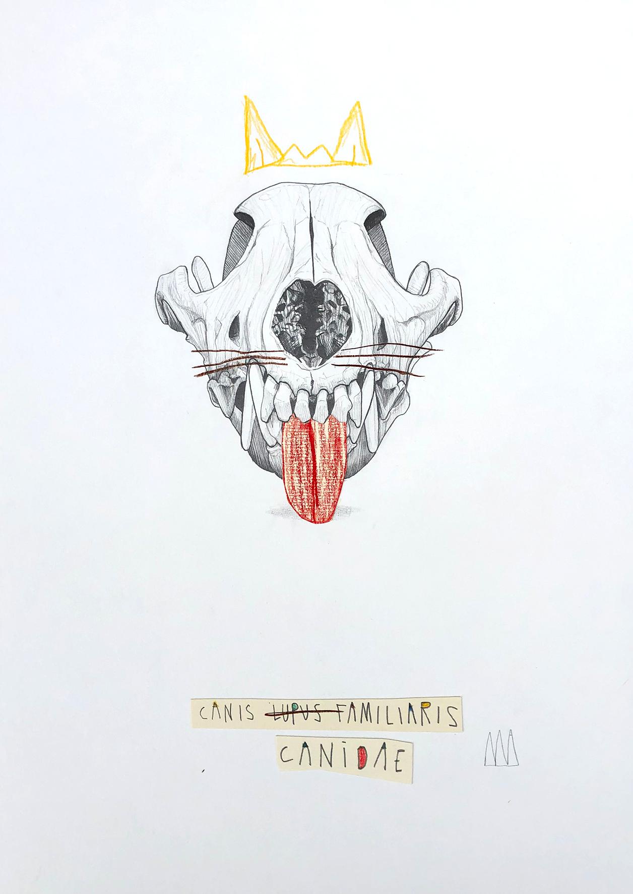 CANIS CANIDAE 
2020
Graphite, Couleurs et collage sur papier
SIgné au recto par l'artiste
42 x 29.7 cm
Prix de vente : 650 €