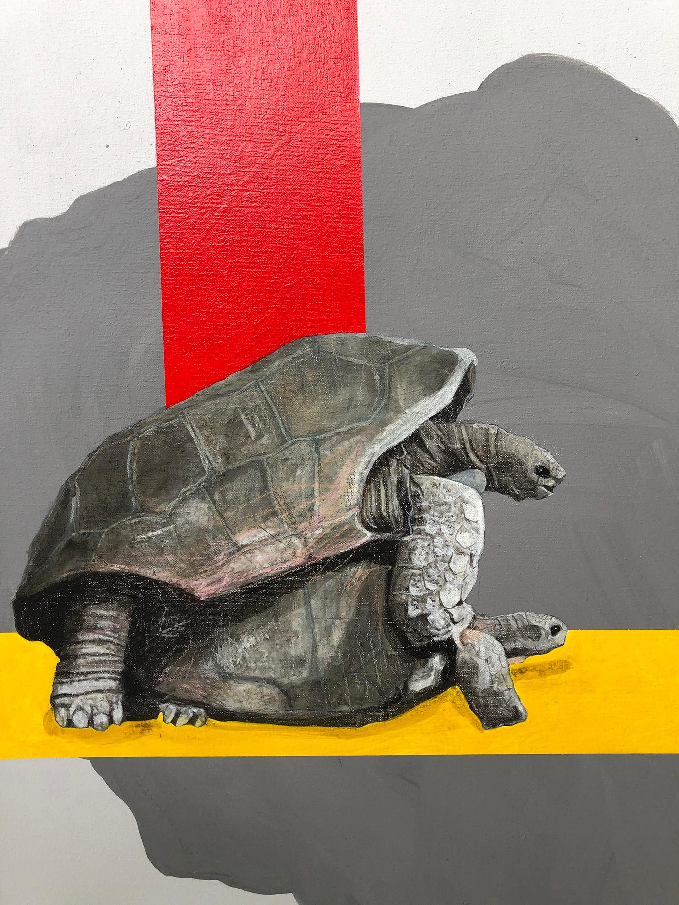 Tortugas 2020 - Painting di Mateo Andrea