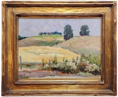 Campos de verano, Artista de Michigan, Impresionismo americano, Paisaje