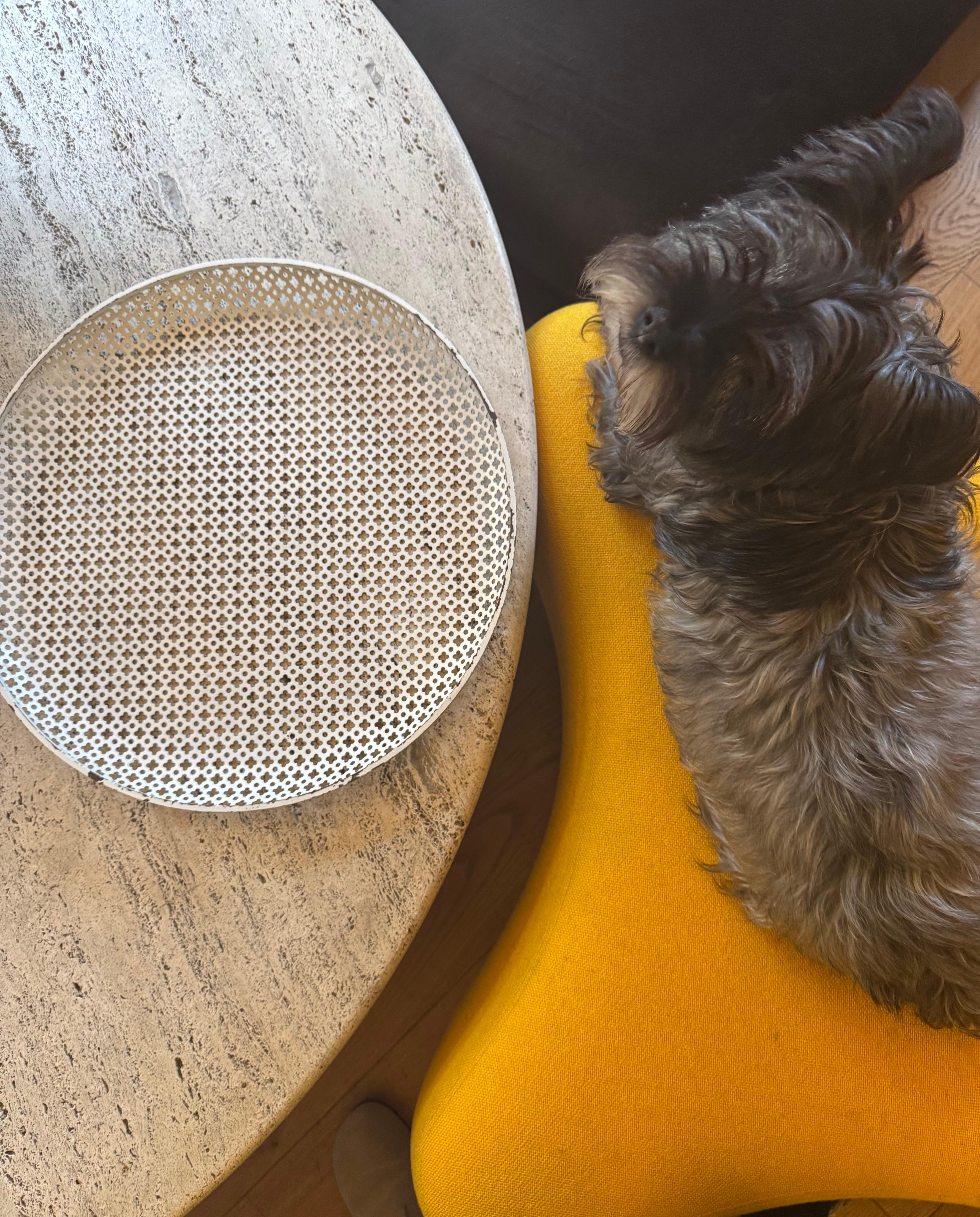 Mathieu Mategot large pierced metal tray c.1955 (20. Jahrhundert) im Angebot