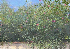 Roses behind the Garden Wall