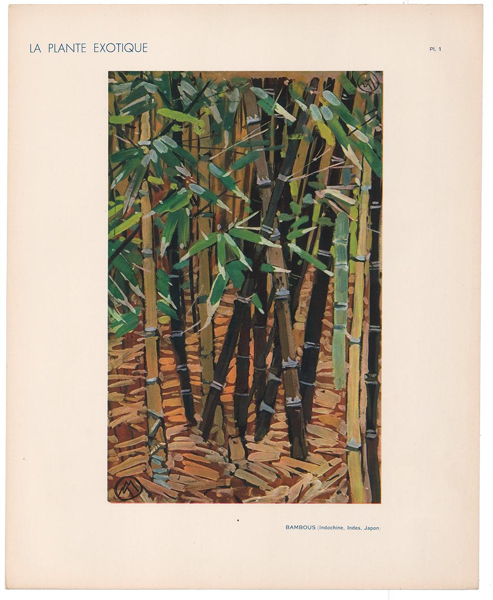 in his print riverside bamboo market