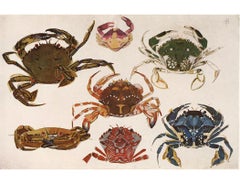 Crabe imprimé