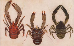 Antique Mediterranean Lobster Print