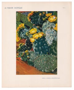 Ausgefallener Birnendruck