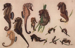 Antique Seahorse Print