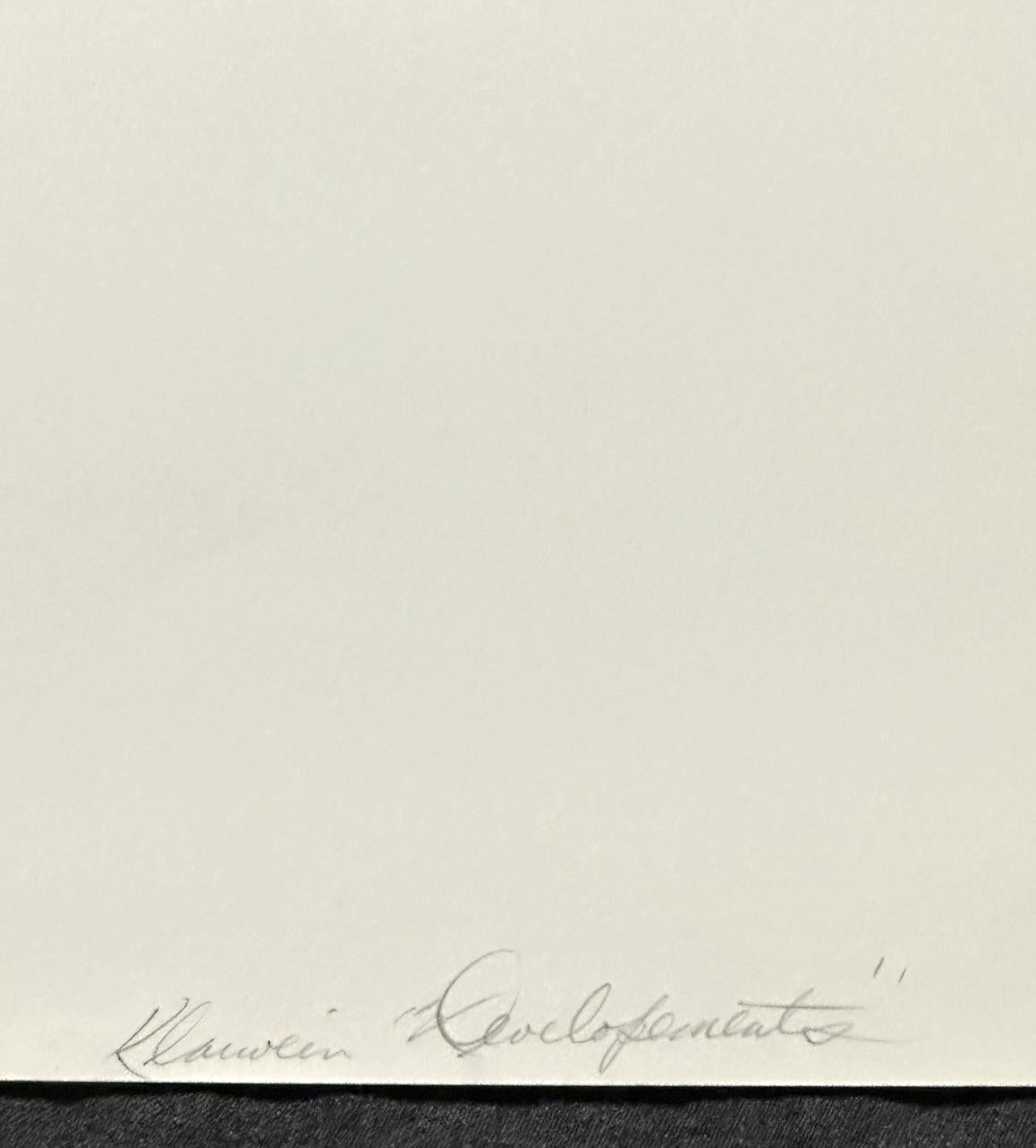 Desarrollos 1978 Litografía artística firmada de edición limitada en venta 1