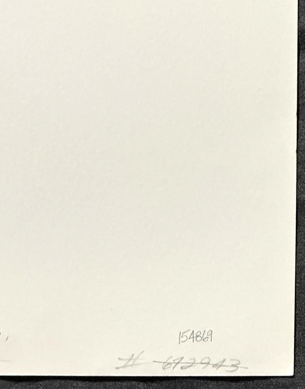 Desarrollos 1978 Litografía artística firmada de edición limitada en venta 2