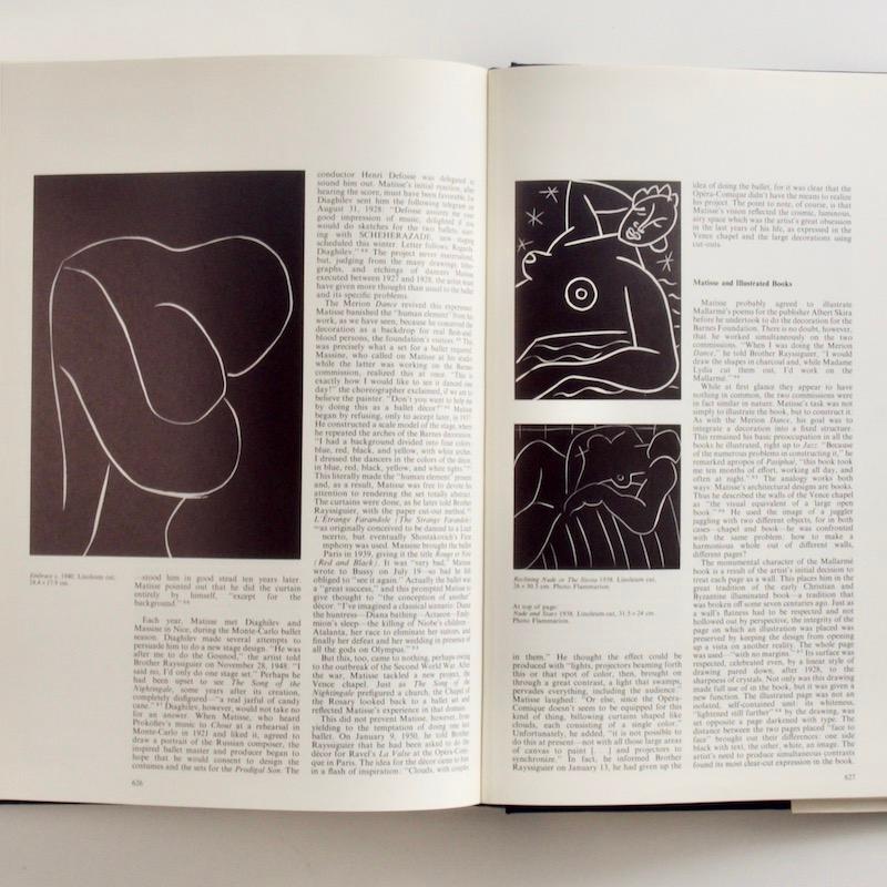 Paper Matisse by Pierre Schneider First Edition 1984