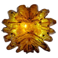 Matius Spectacular French Mid-Century "Sun King" Wall Light, 1975