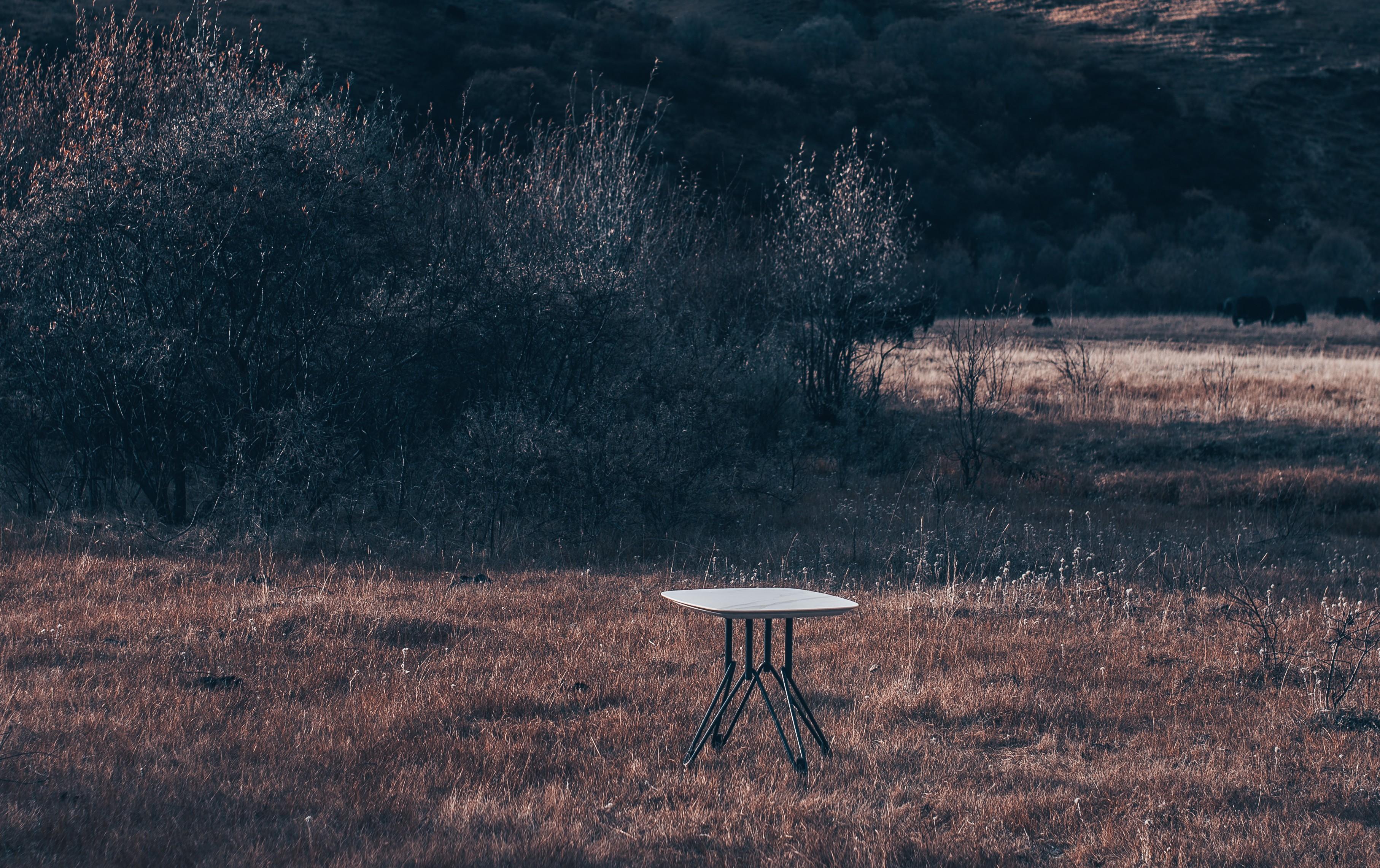 Tavolo da tè da campo
L'Eleganza incontra la Funzionalità

Il tavolo da tè Camp è il perfetto connubio tra design minimalista e materiali moderni. Realizzato con precisione, questo tavolo presenta un piano in pietra sinterizzata o in legno che