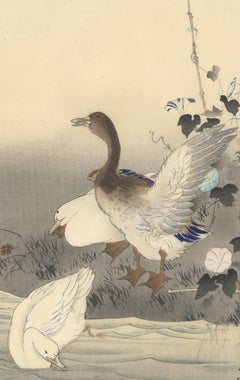 Bird and Flower, Ducks, Original Japanese Woodblock Print, Early 20th Century