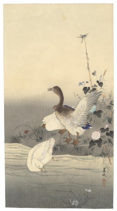 Antique Bird and Flower, Ducks, Original Japanese Woodblock Print, Early 20th Century