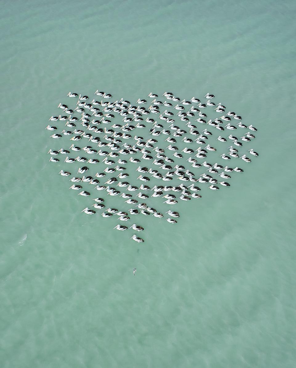 MATT BEETSON Landscape Photograph - MAT BEETSON - Pelican Heart, Western Australia