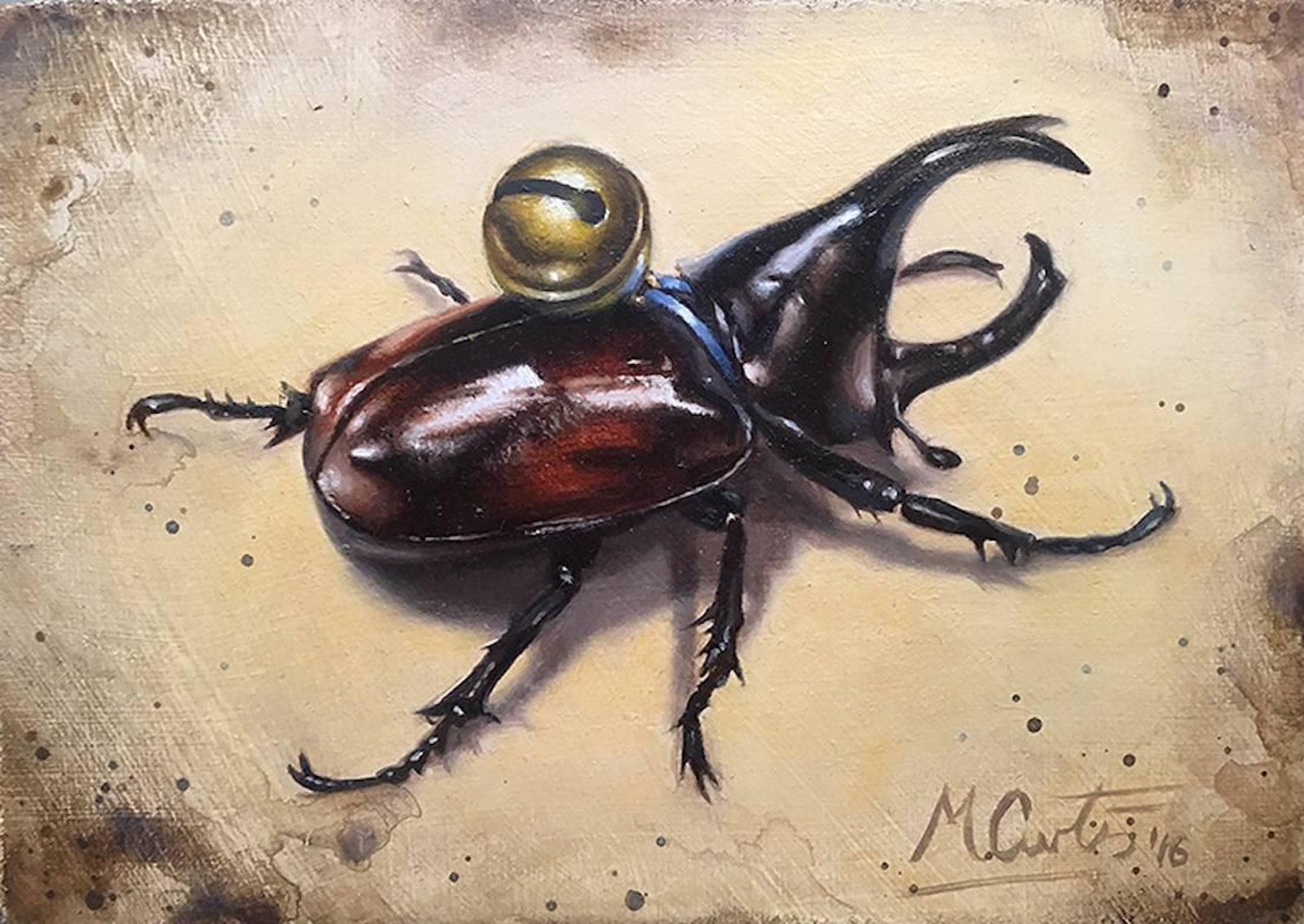 Matt Curtis Stag Beetle Original Contemporary Oil Painting For