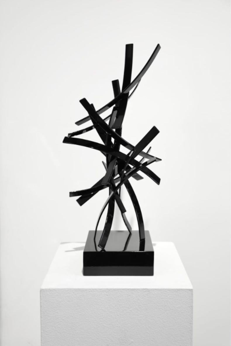Studio A 25-1 - Sculpture di Matt Devine