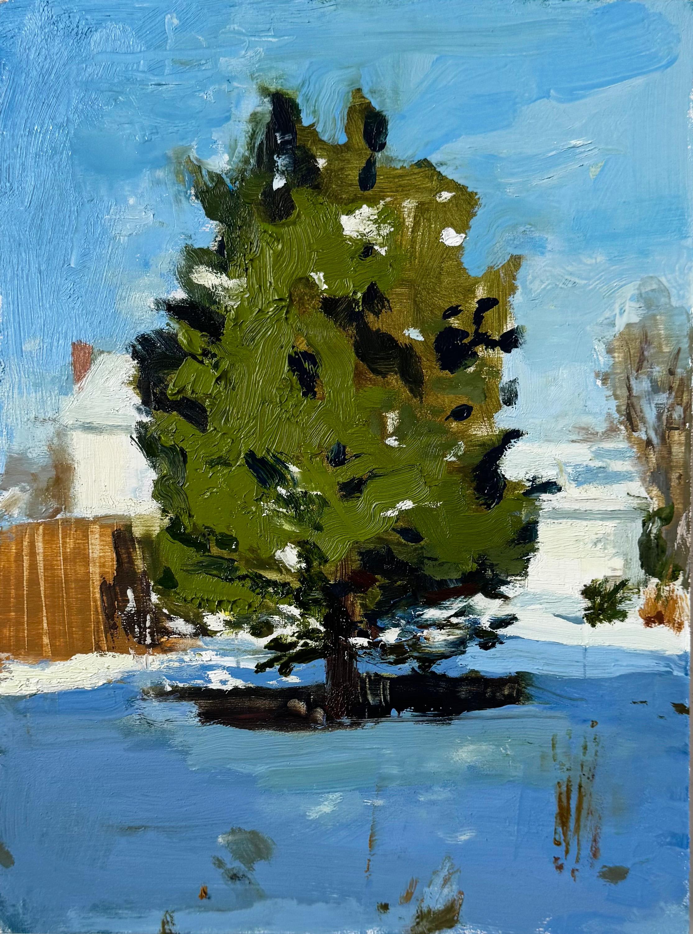 Suburb Spruce, Contemporary Oil Painting on Panel, 12x9 Inches