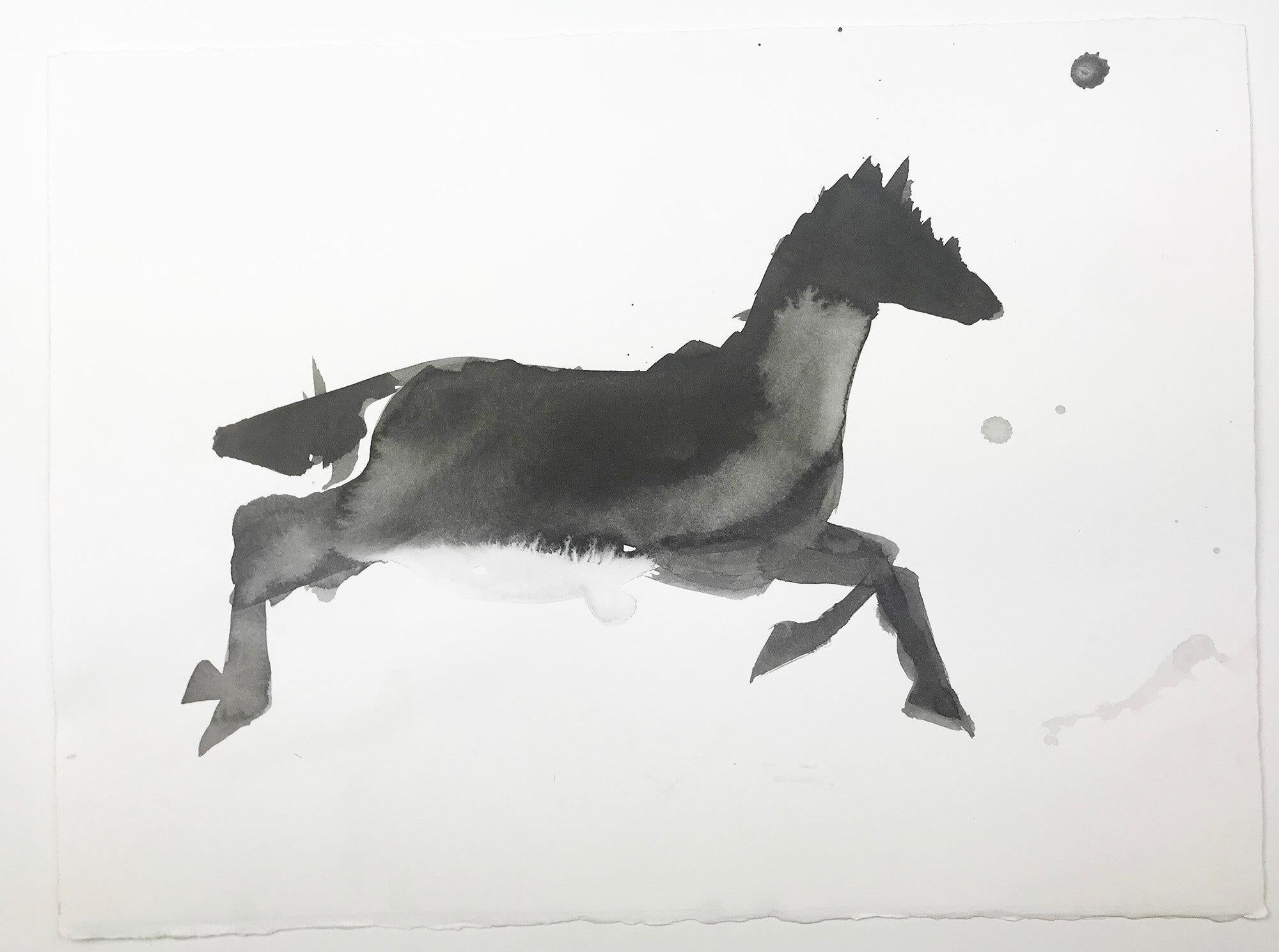 Spirit Tier, Pferd 3, Beacon, NY, 2002
