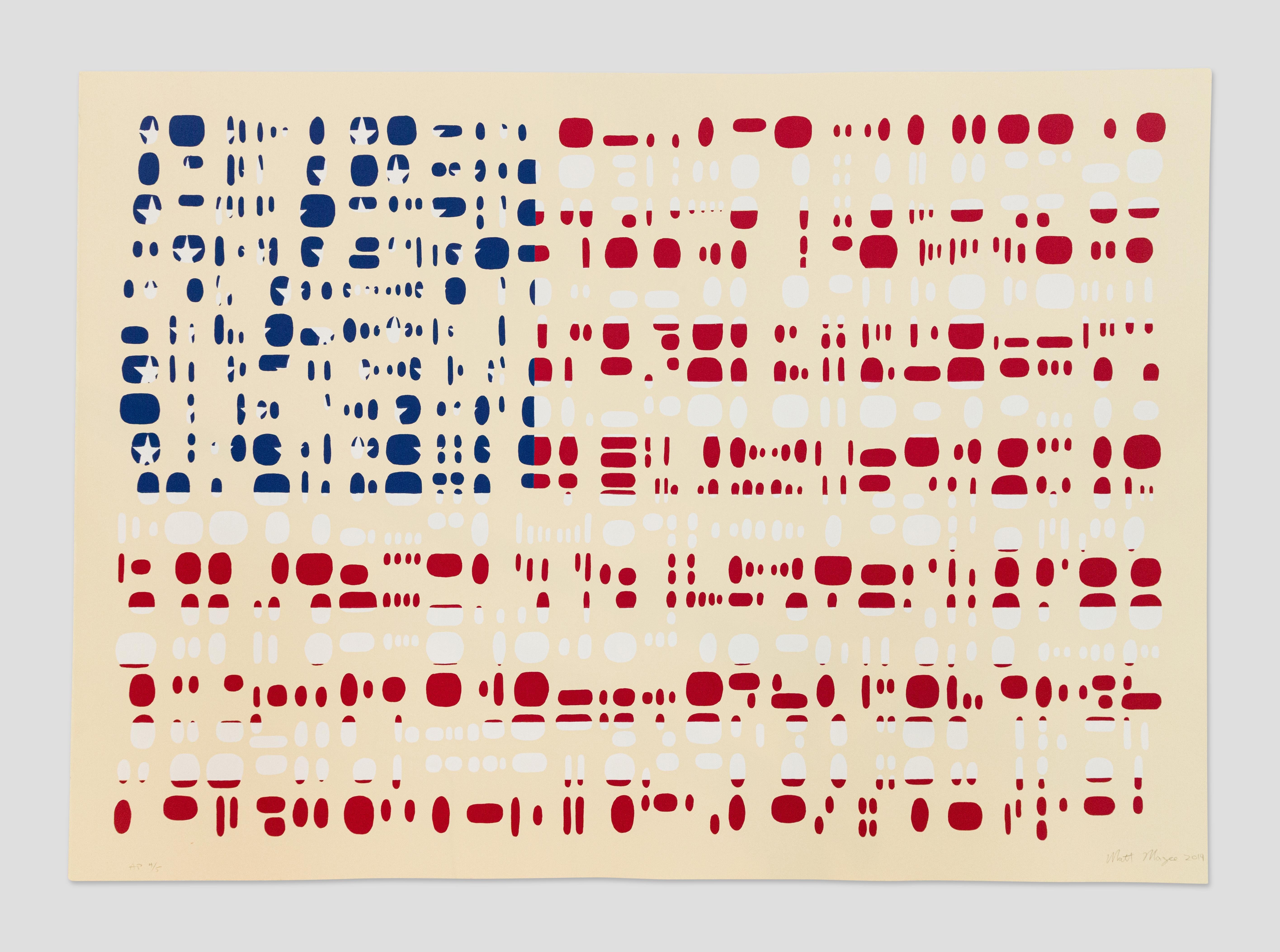 Matt Magee Print - Fragment Flag