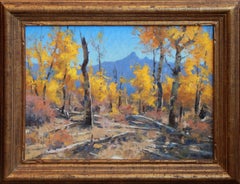 A Western Slope Autumn