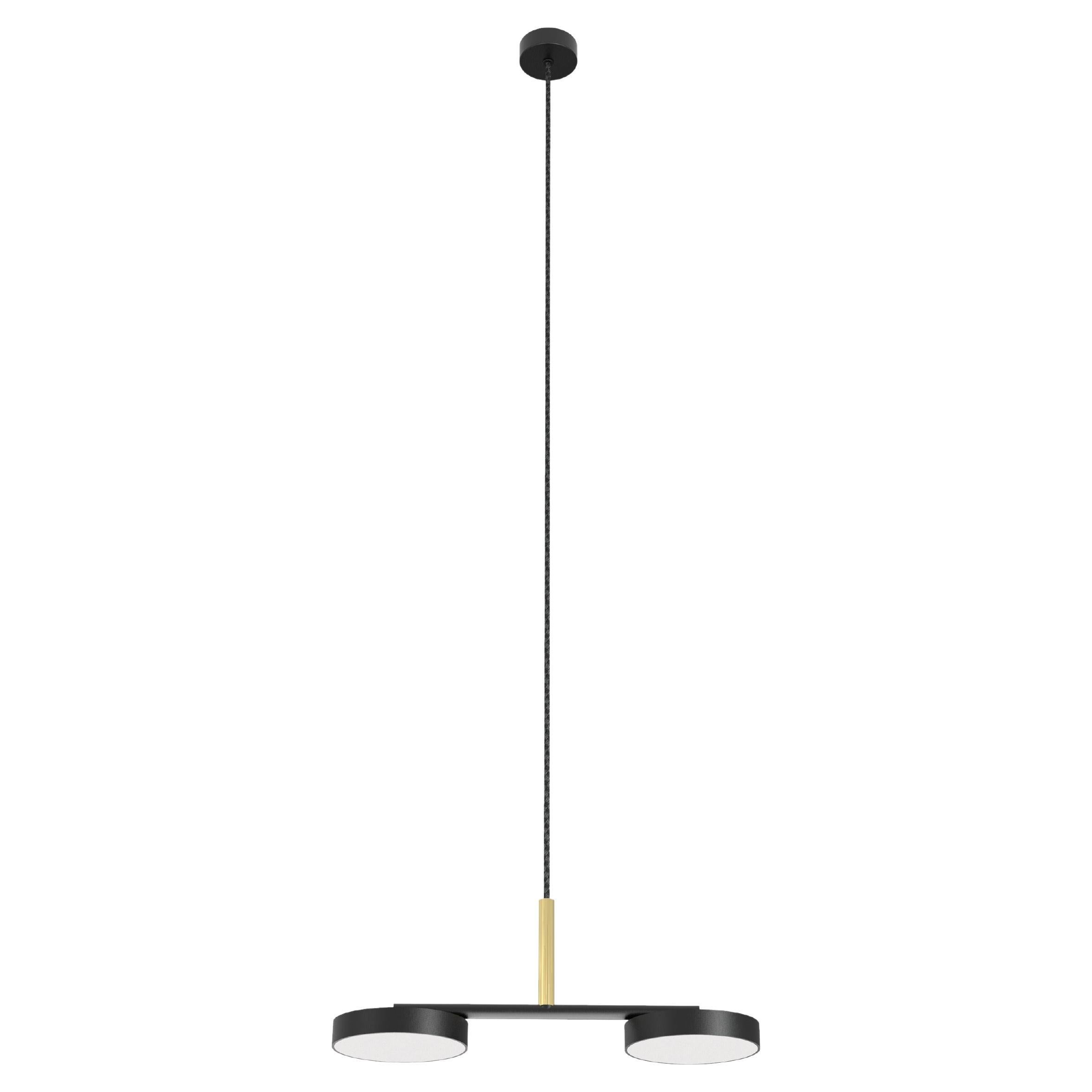 Matte Black and Matte Polished Brass Rafaela Pendant Duo by Robin Lamps
