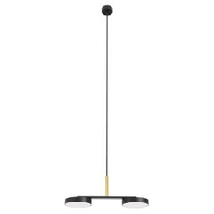 Matte Black and Matte Polished Brass Rafaela Pendant Duo by Robin Lamps