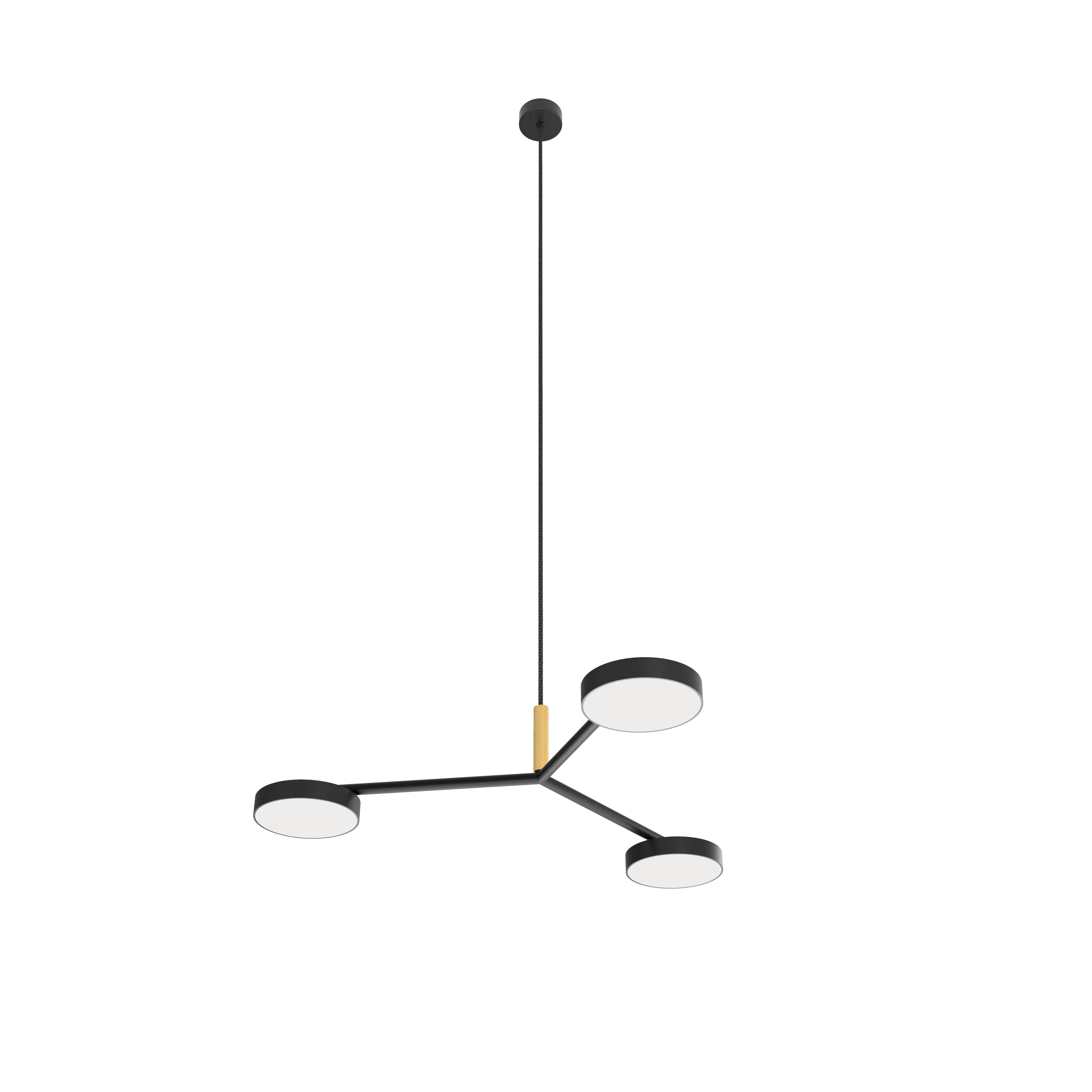 Mattschwarze Raisa-Hängeleuchte von Robin Lamps im Angebot 4
