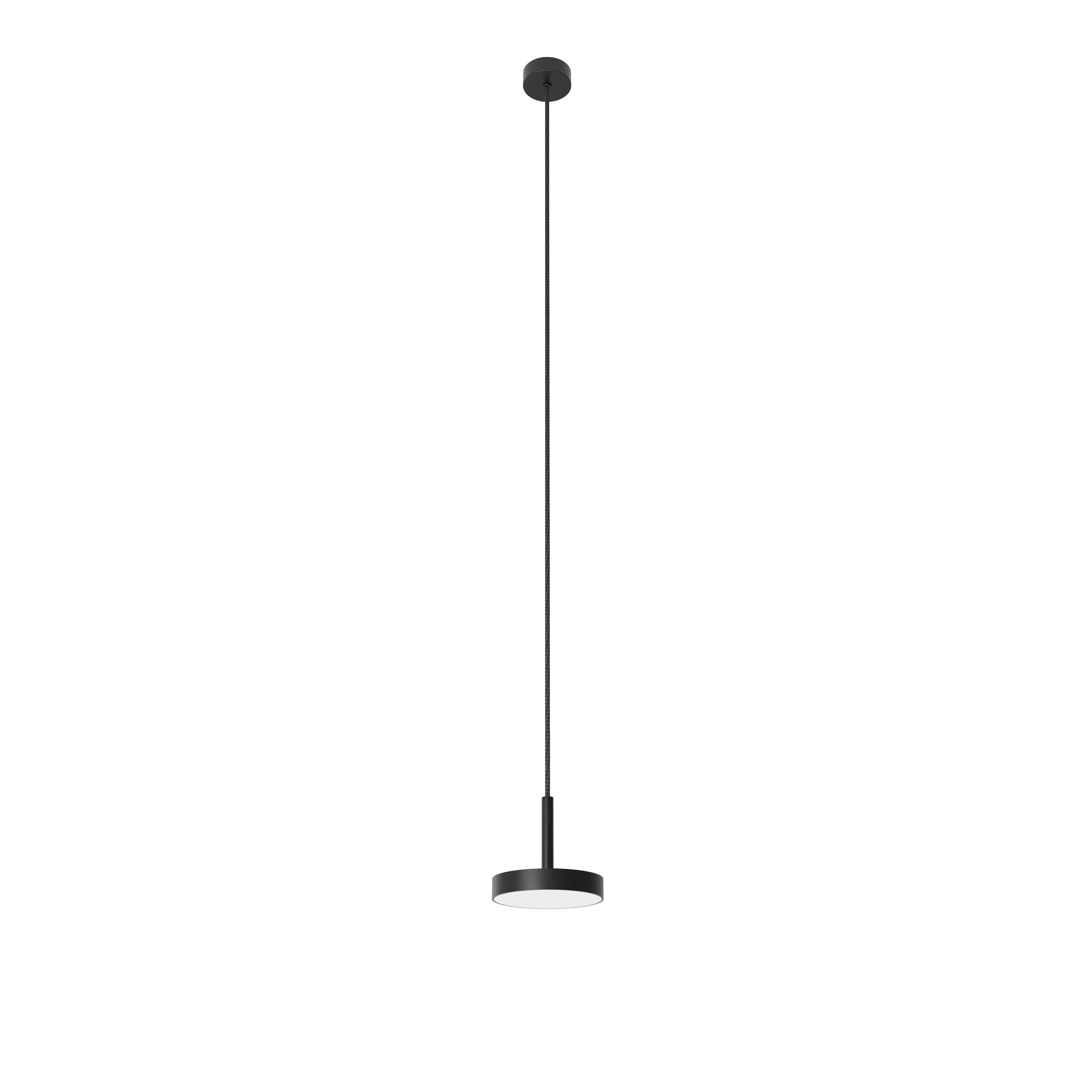 Mattschwarze Raisa-Hängeleuchte von Robin Lamps (21. Jahrhundert und zeitgenössisch) im Angebot