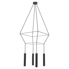 Matte Black Rose Pendant Chandelier Square 25 by Robin Lamps