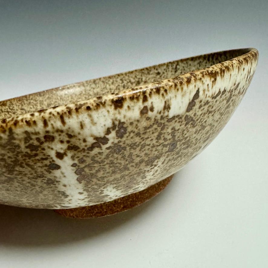 Fired Matte Speckled Ceramic Bowl by Jason Fox For Sale