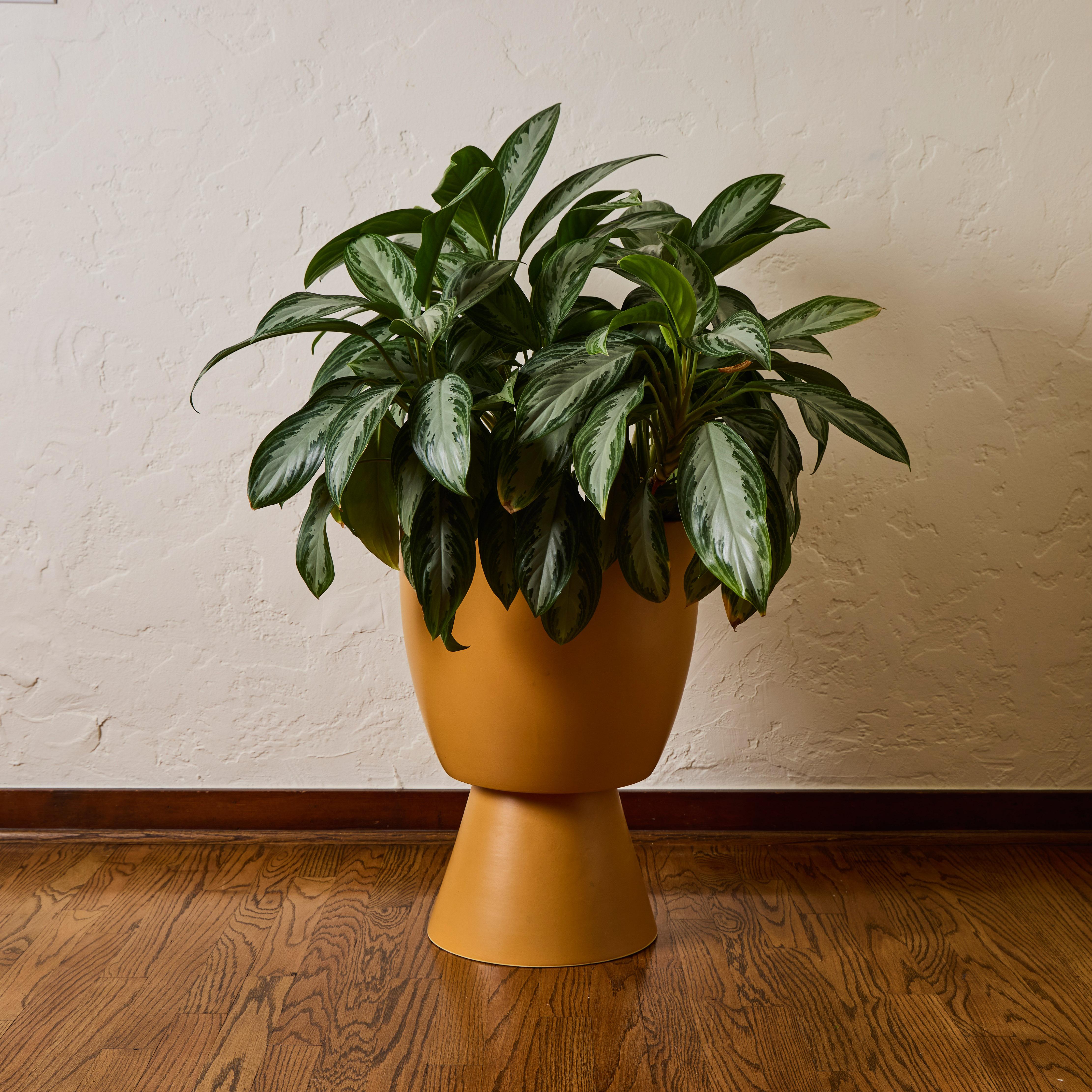 Mid-Century Modern Jardinière Chalice en céramique émaillée jaune mat Gainey Prototype Midcentury en vente
