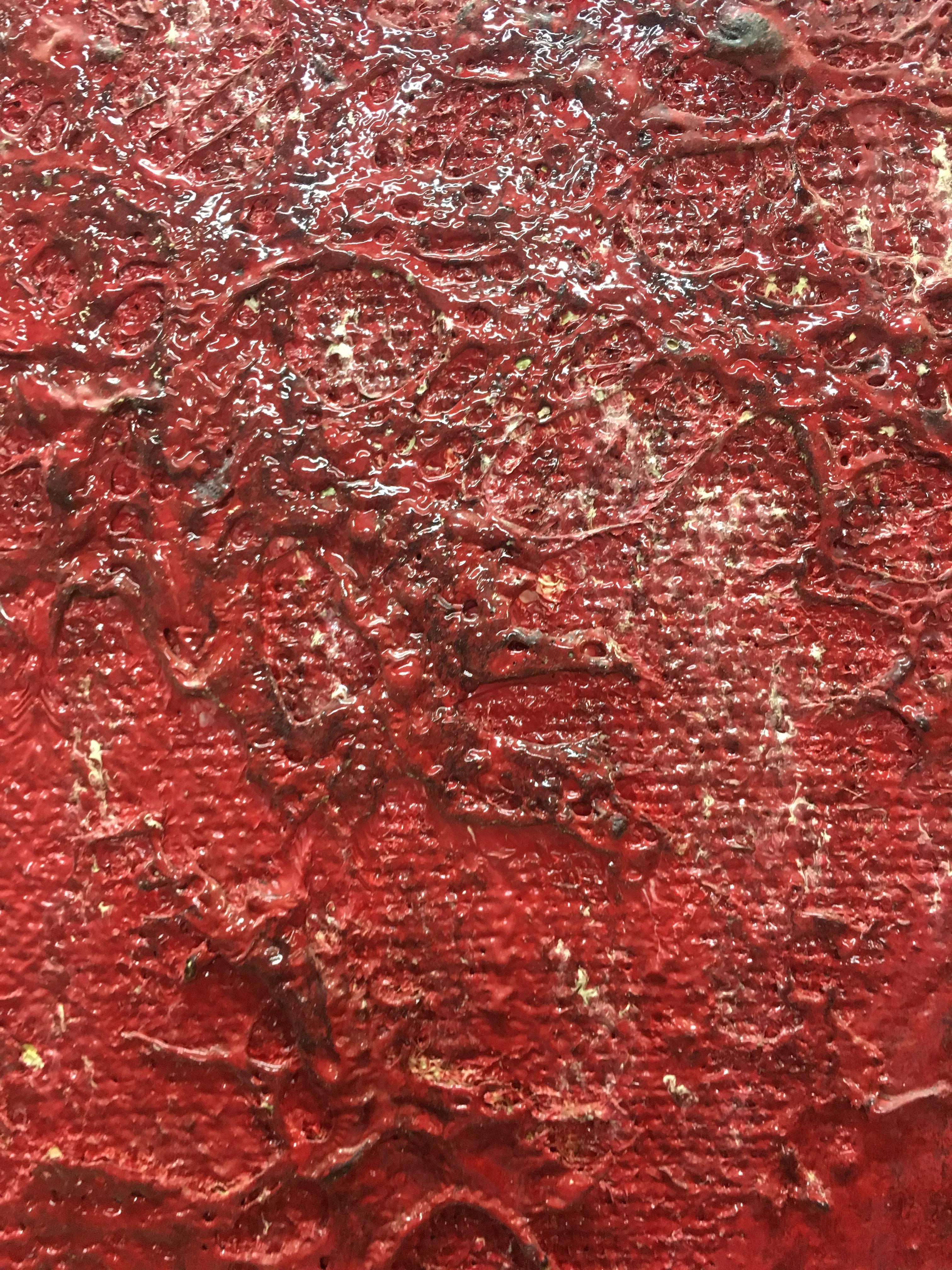  Bultrini Rosso e nero - pittura originale astratta a tecnica mista in acrilico
 composizione dell'artista italiano
Tecnica mista e combustione 
BULTRINI, Mateo (Roma 1979)
Vive e lavora a Pratola Peligna, in provincia de L'Aquila. La sua passione