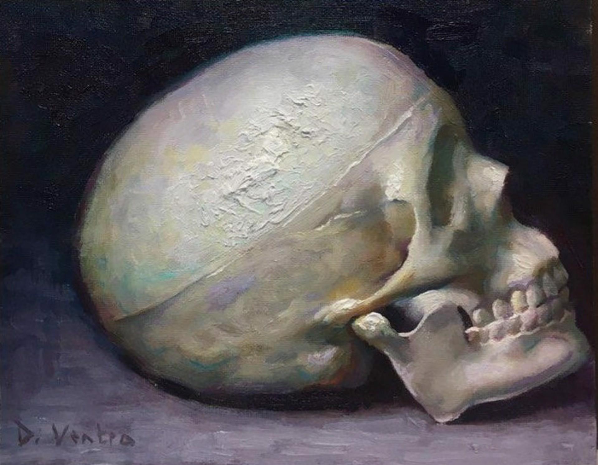 Matteo Di Ventra Figurative Painting - Bedside Skull
