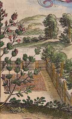 Paysage de jardin Thyme du 18ème siècle par Matthaeus Merian