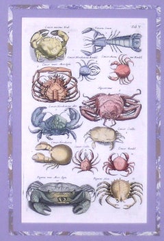 Tab V.  Cancer Marinus Krab (Crab) et al