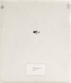 Disegno della costrizione 9: Toya