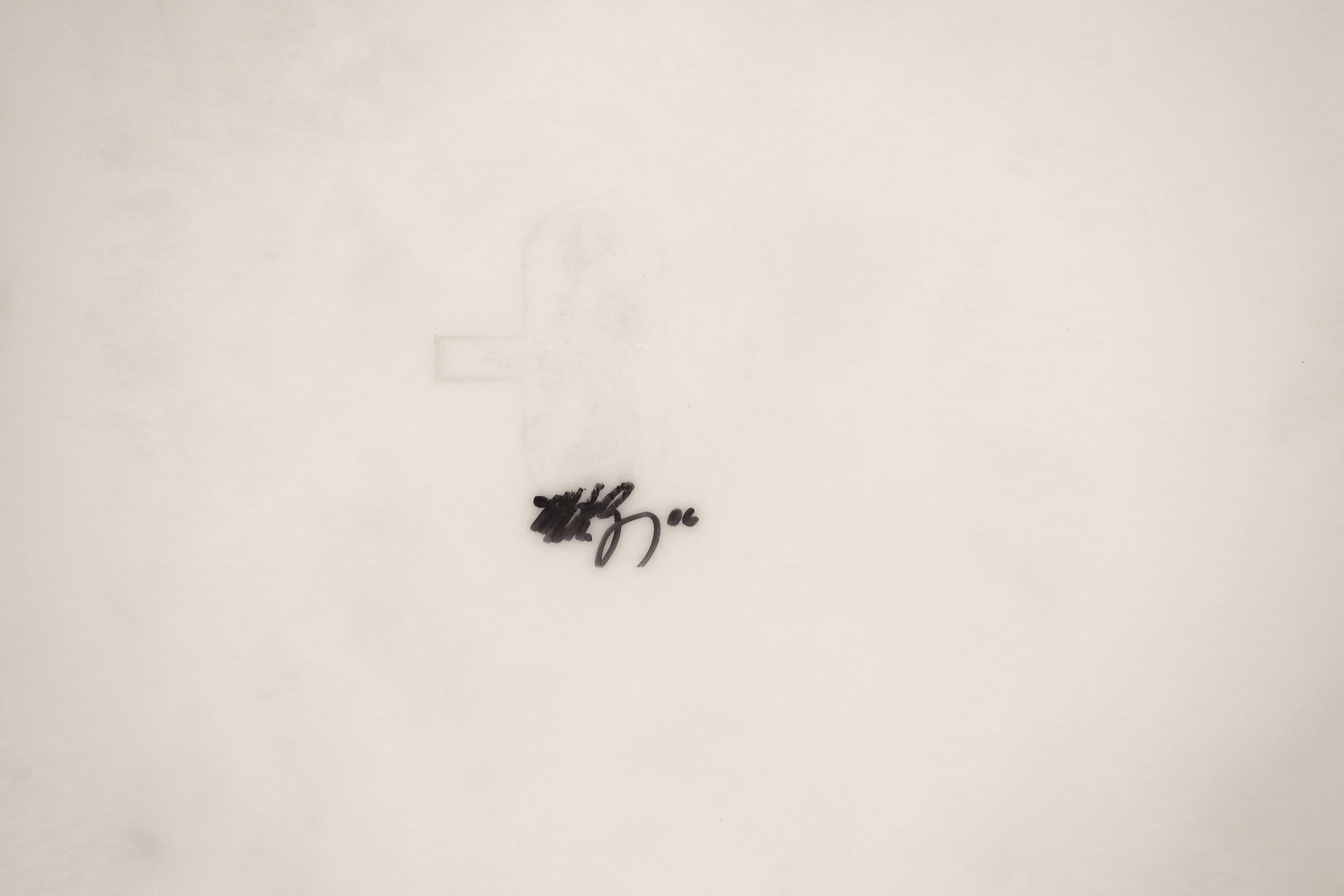 Zurckhaltung der Zeichnung: Toya (Grau), Portrait Photograph, von Matthew Barney