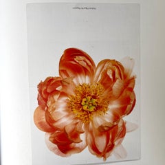 Matthew Barney The Cremaster Cycle 1ère édition 2002