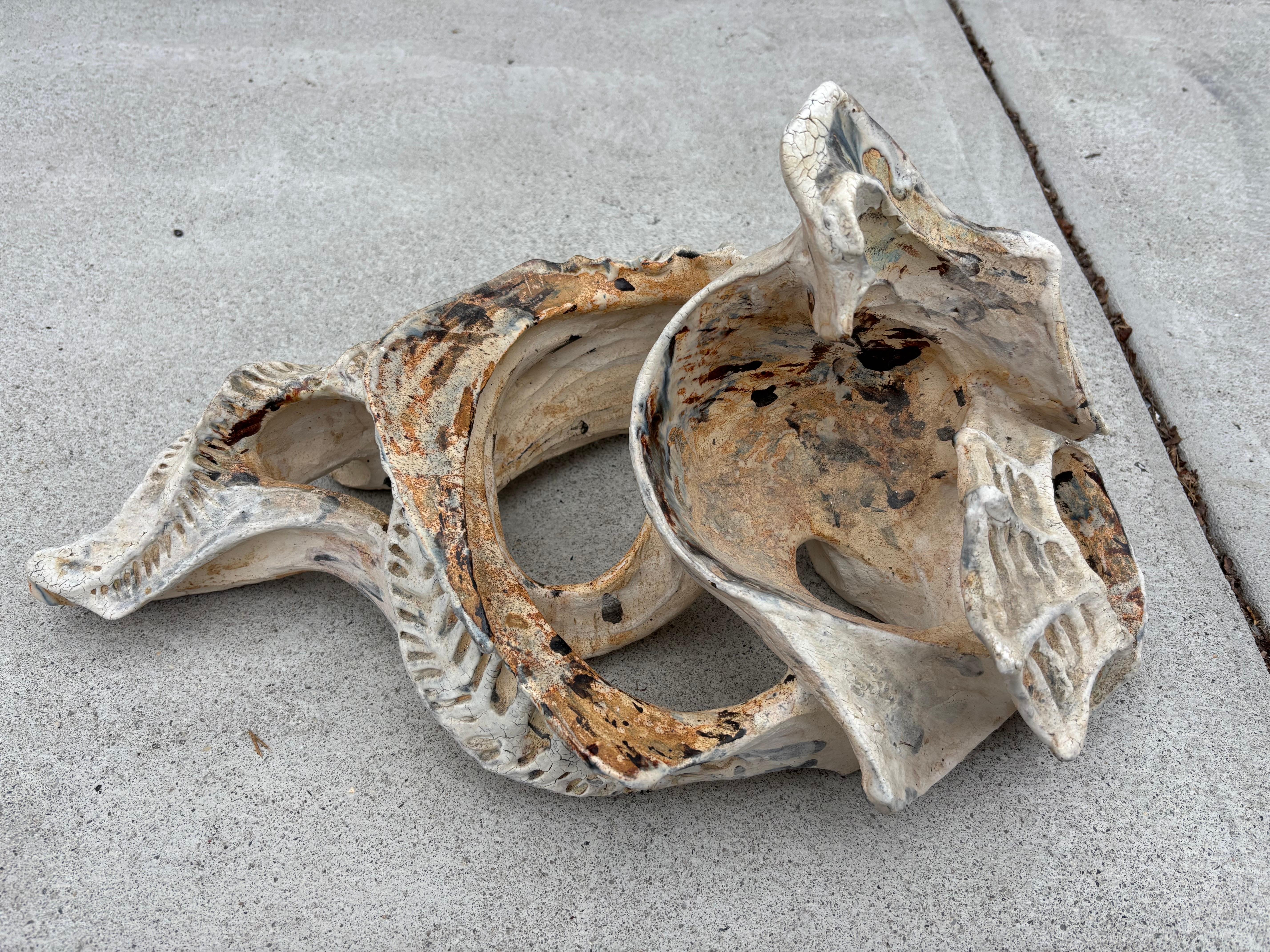 Matthew Burton Ceramic Shell For Sale 3