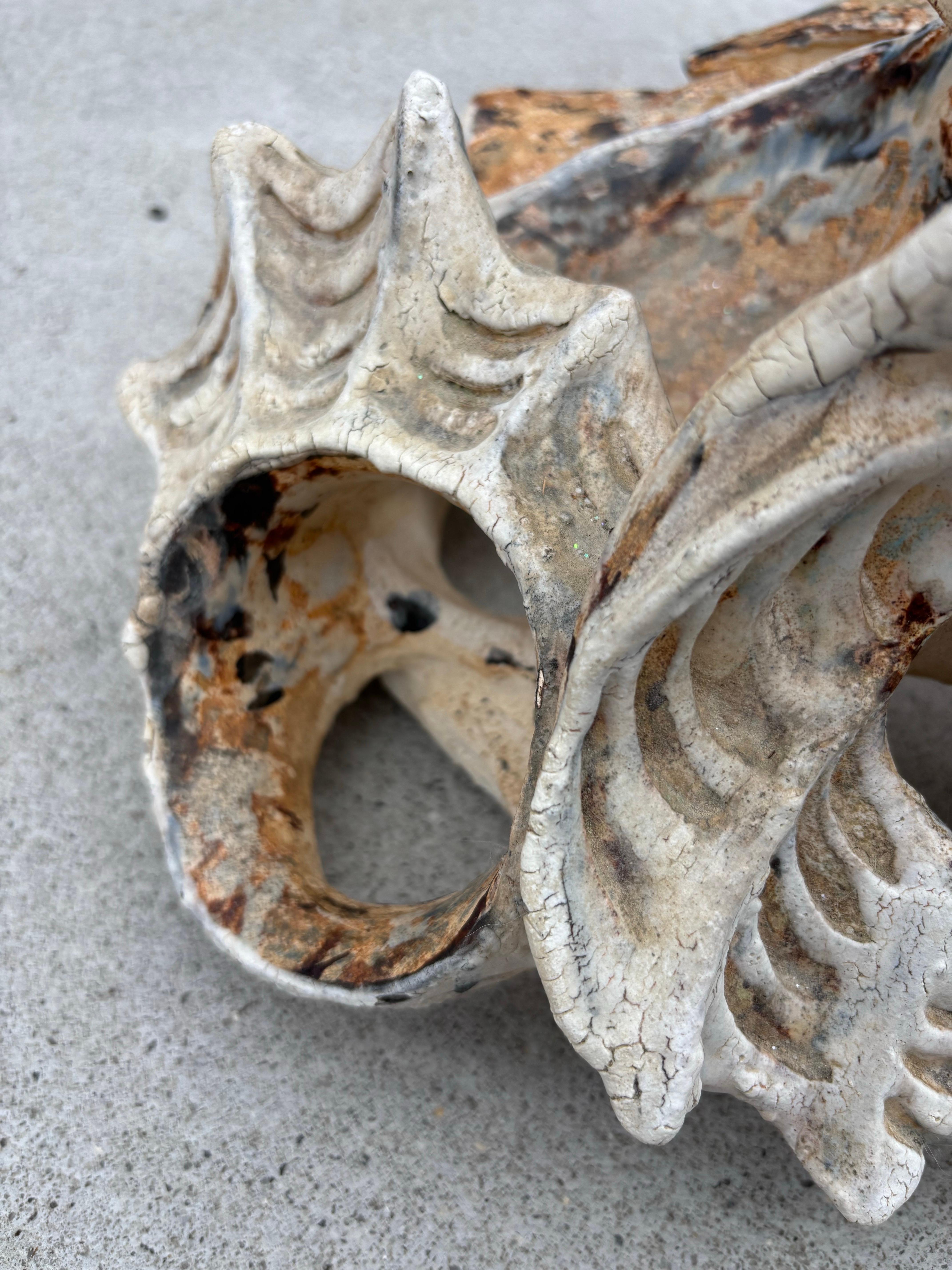 Modern Matthew Burton Ceramic Shell For Sale