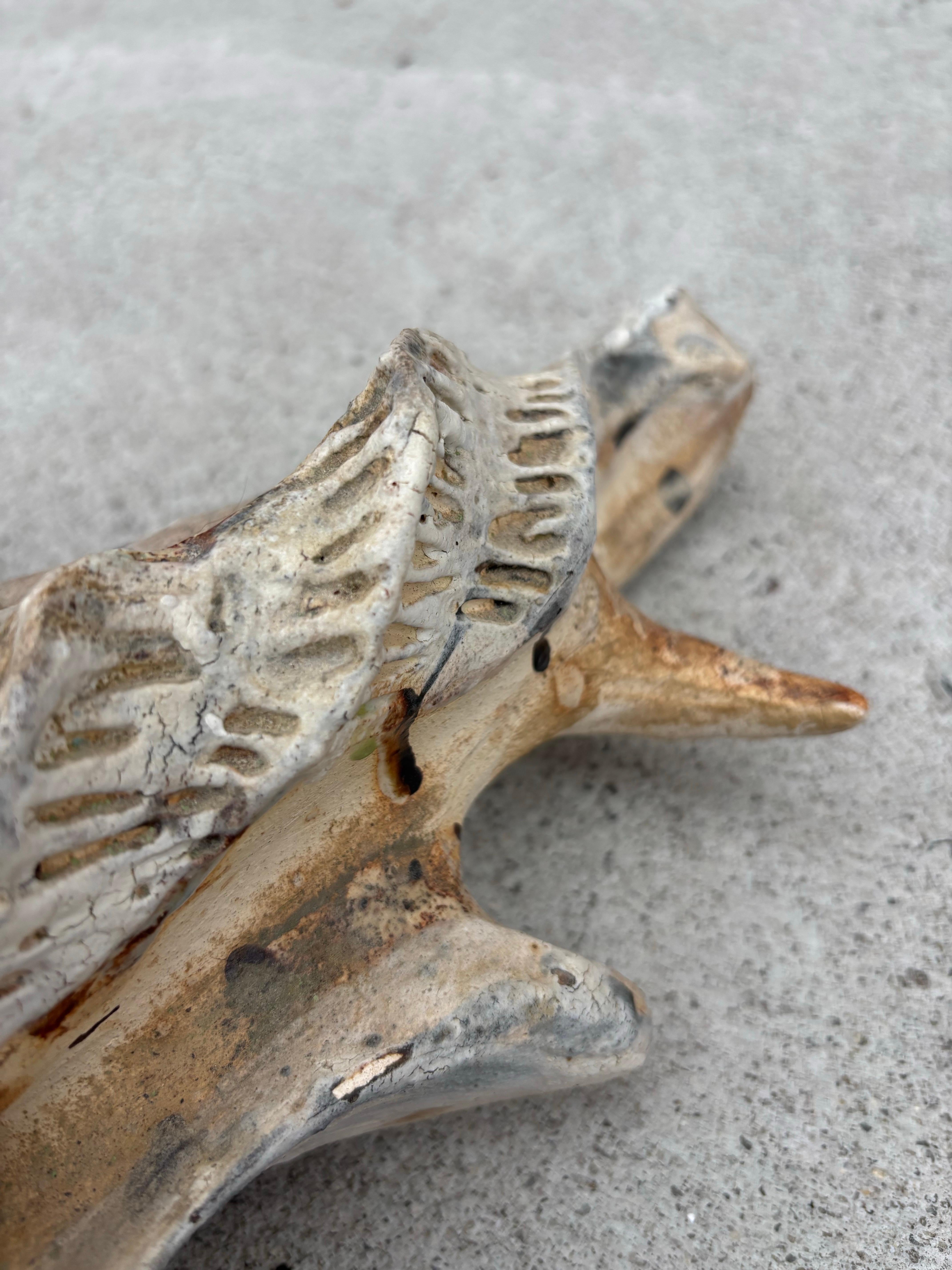 American Matthew Burton Ceramic Shell For Sale