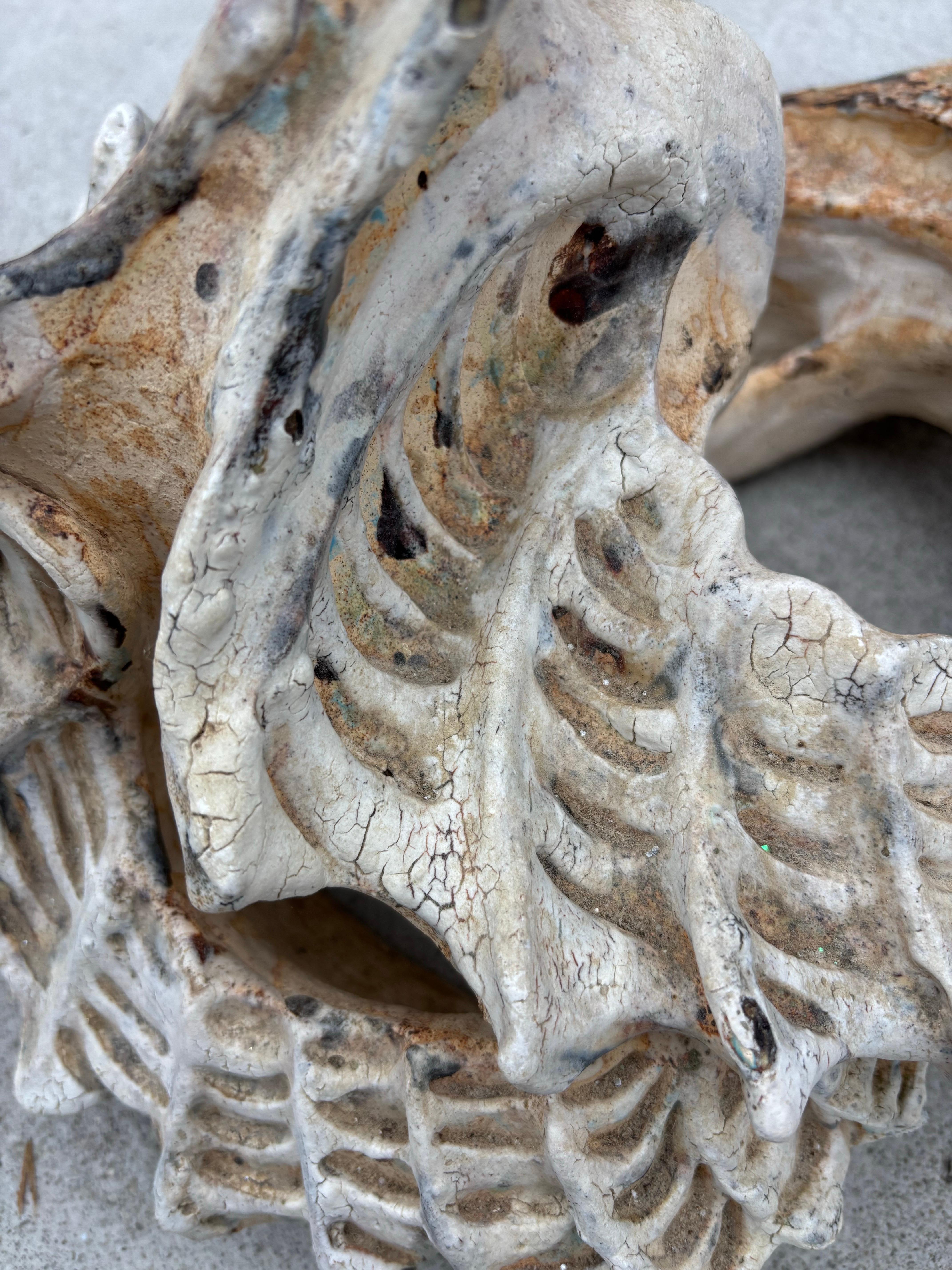 Matthew Burton Ceramic Shell For Sale 2