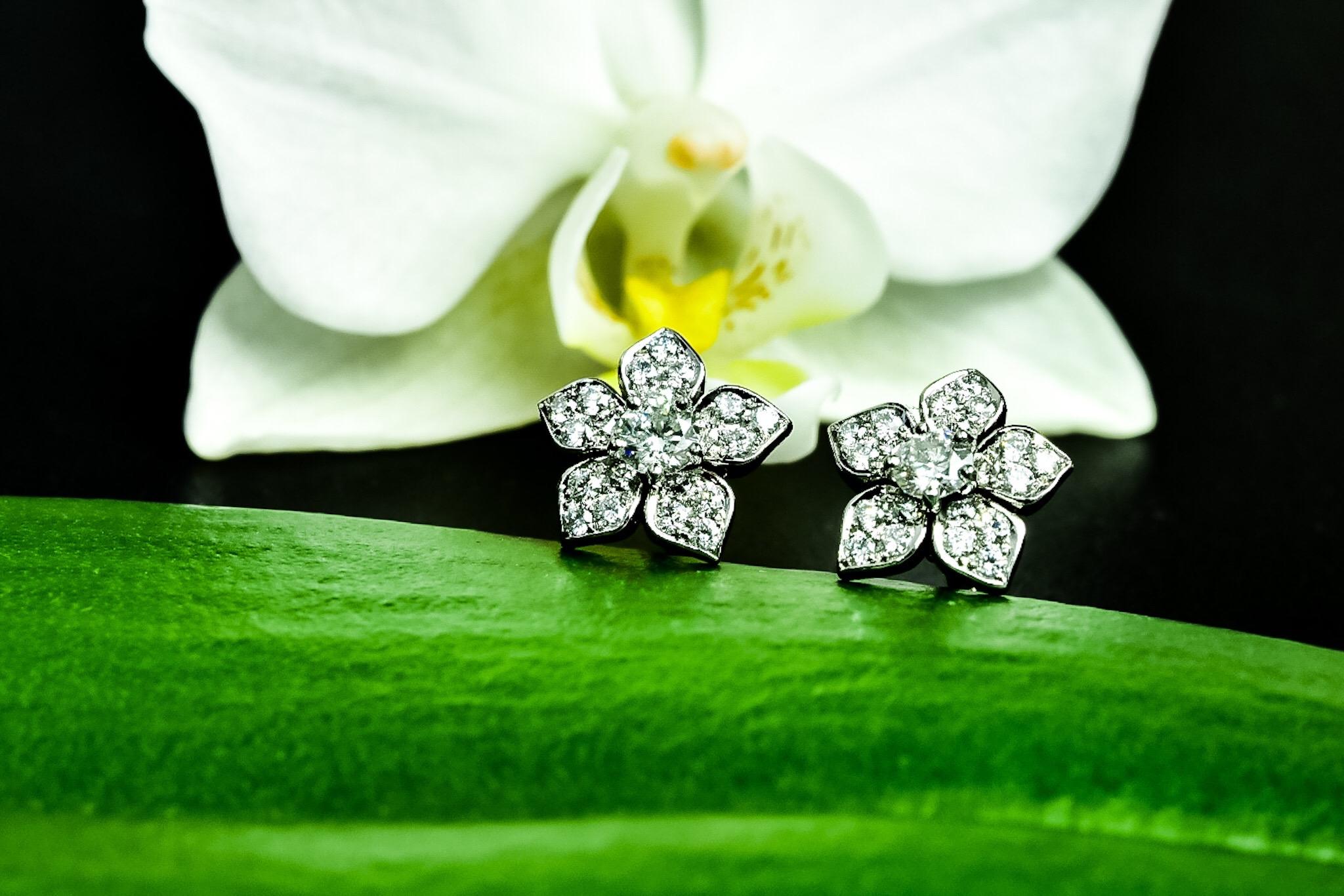 Diamantene Blumenohrringe aus Platin von Matthew Cambery aus der Egerton Garden Collection'S. 

Diamanten der Collection'S Farbe und Qualität mit einem Gesamtgewicht von 0,66 Karat

Abmessung 10mm Durchmesser

