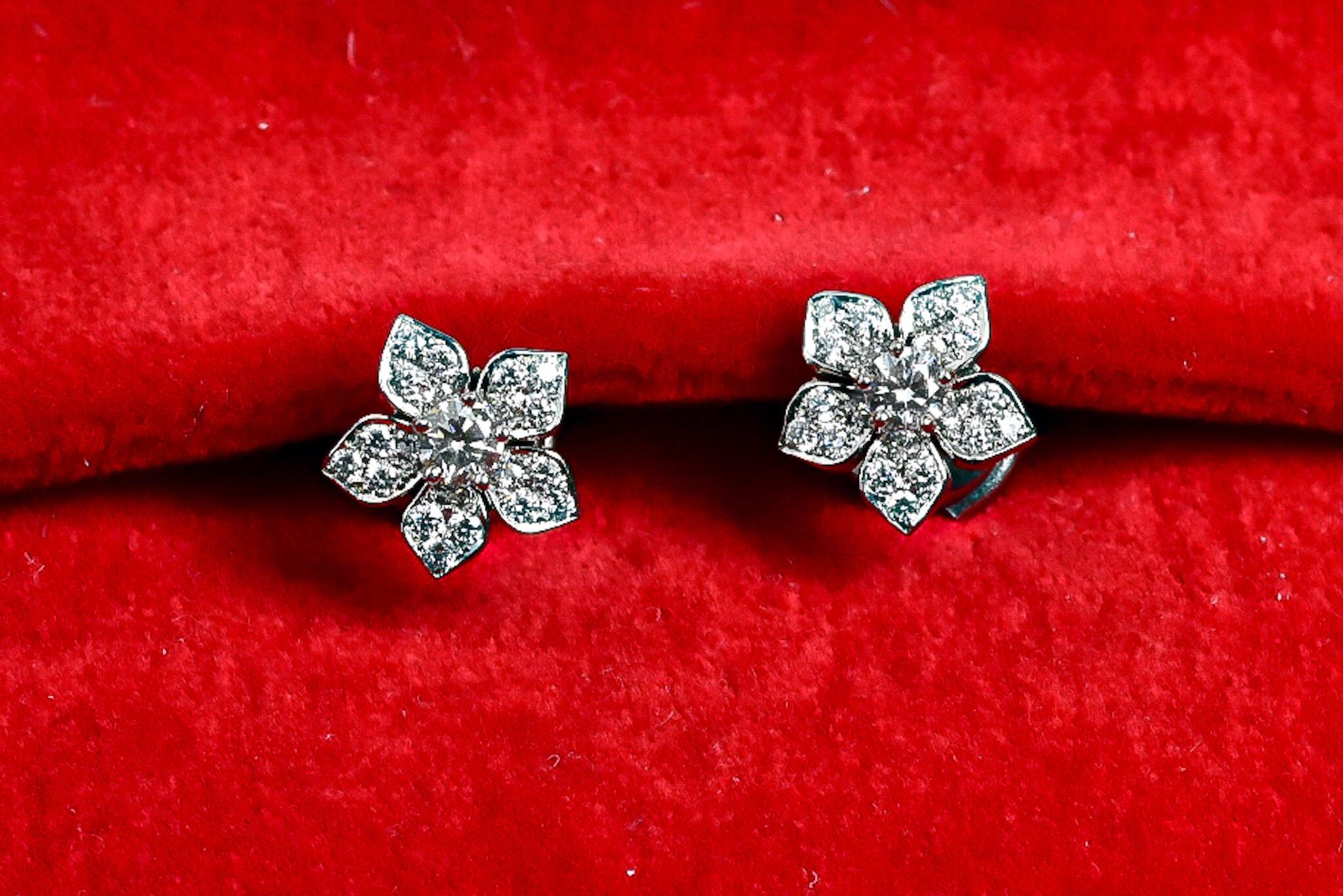 Matthew Cambery, boucles d'oreilles fleur en platine et diamants en vente 2